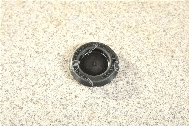 Blind plug chassis / body