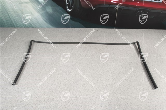 Glass roof / Moonroof gasket, rear glass part