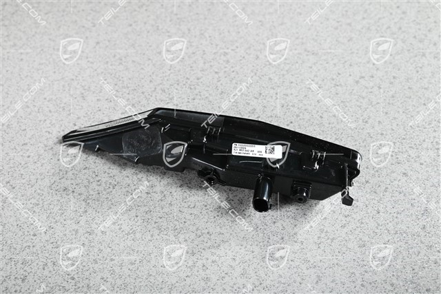 Turn signal / indicator light, R