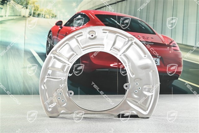 Front axle disc brake protective plate, PCCB, R