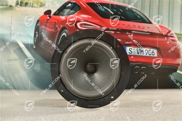 Carrera RS, Głośnik w tapicerce drzwi, L=R