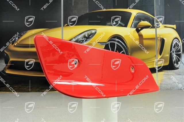 GT3 RS plate for wing, 2004 model, R