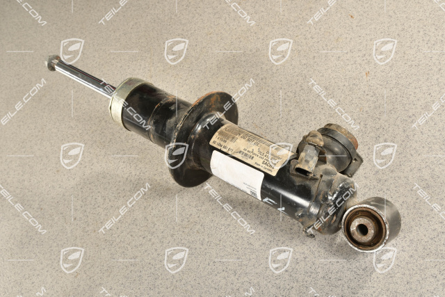 Shock absorber, rear axle, PASM / V8, L