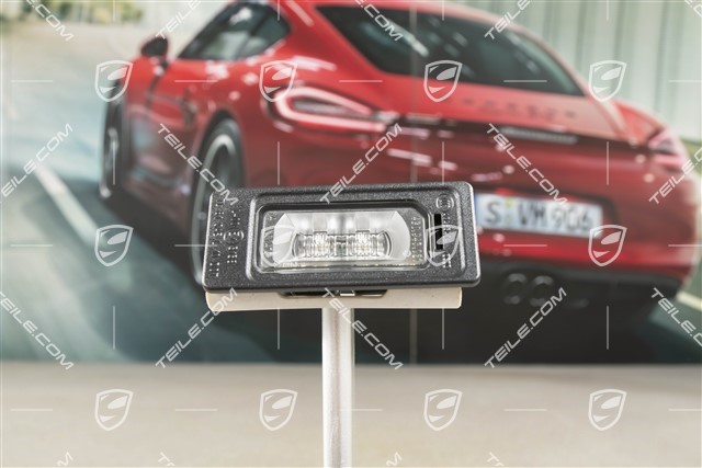 Licence plate light