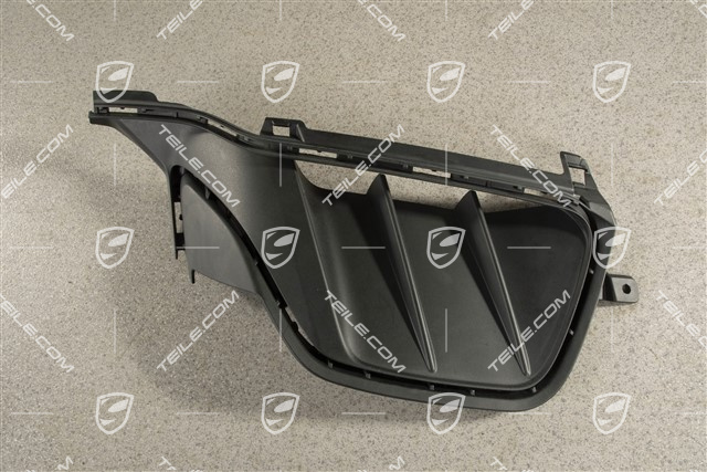 TEILE.COM | Grille, lateral, L / used / Taycan 9J1 / 802-00 Front