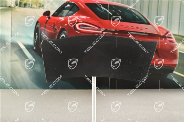 Rear light cover, outer, R