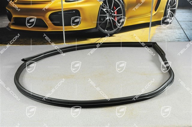 Weatherstrip, door, innen, Coupe, L